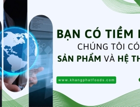 Bạn có tiềm lực – Chúng tôi có sản phẩm và hệ thống!